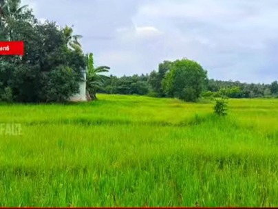 Land photo 1