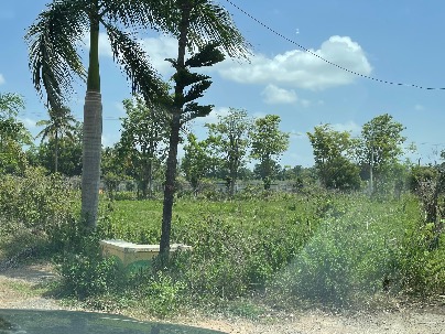 Land photo 1