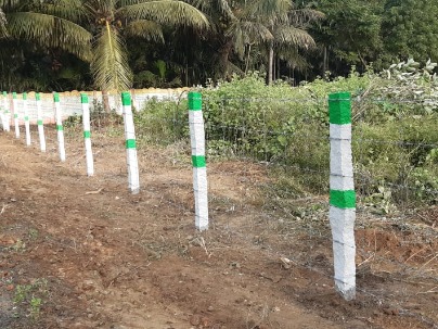 Land photo 1
