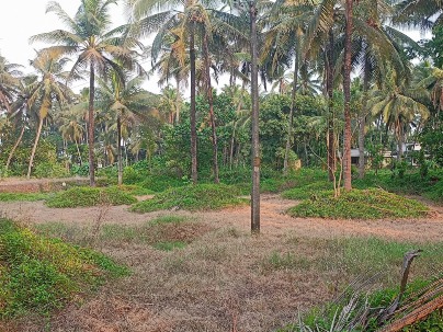 Land photo 1