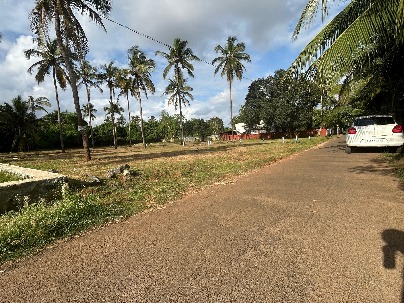 Land photo 1