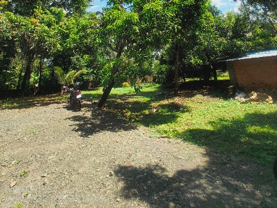 Land photo 1