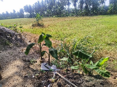 Land photo 1