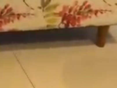 3 BHK Flat photo 1
