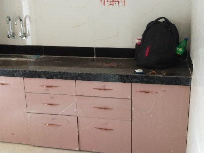 1 BHK Flat photo 1