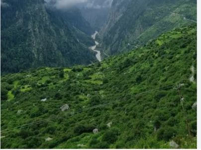 Land photo 1