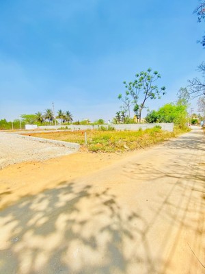 Land photo 2
