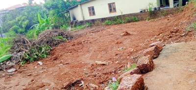 Land photo 3