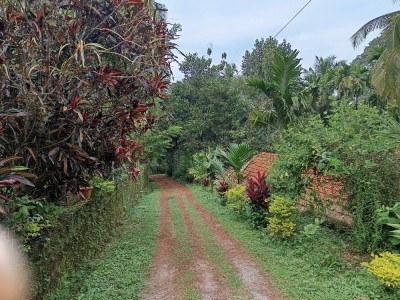 Land photo 2