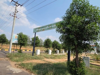 Land photo 3