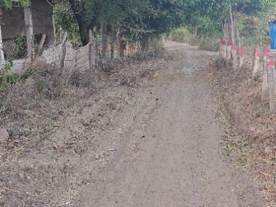 Land photo 2
