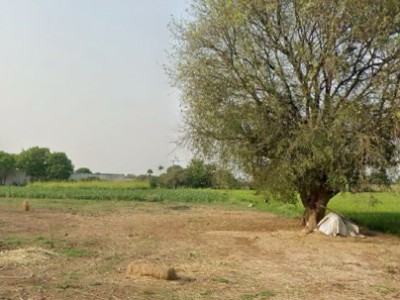 Land photo 2