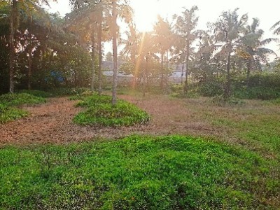 Land photo 2