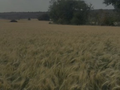 Land photo 3
