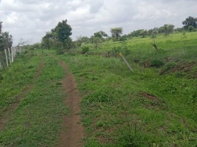 Land photo 2