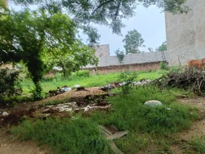 Land photo 2