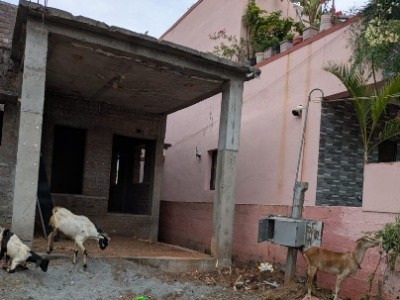 Land photo 2
