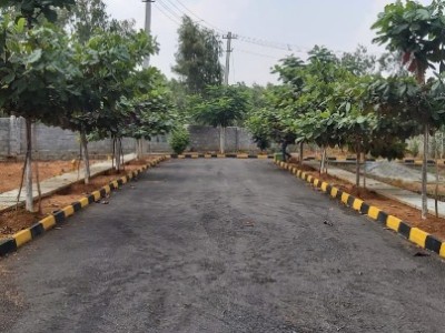 Land photo 2