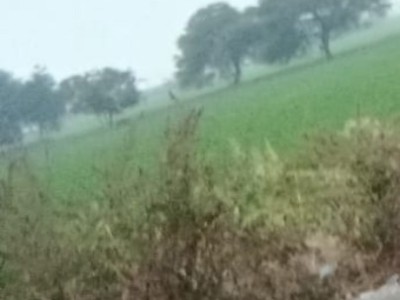 Land photo 2