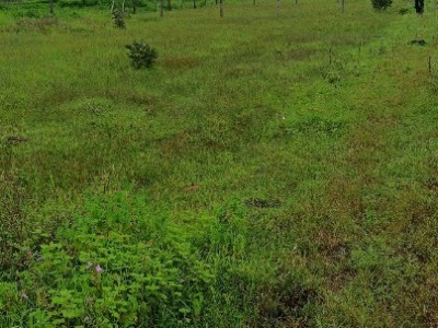 Land photo 2