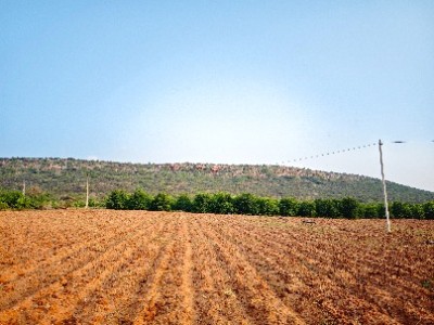 Land photo 2
