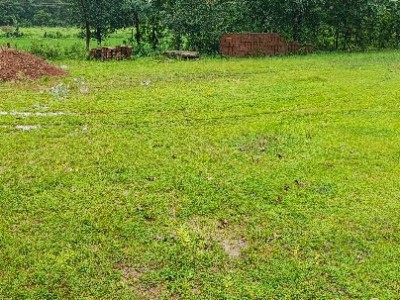 Land photo 2