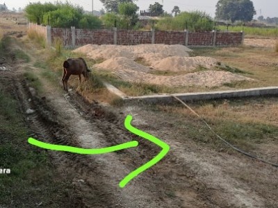 Land photo 2