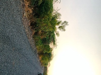 Land photo 2