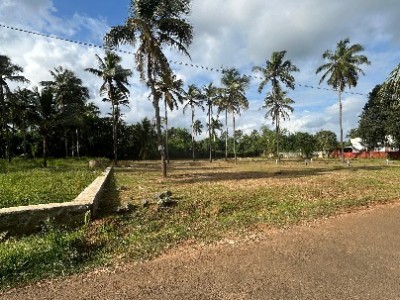 Land photo 3