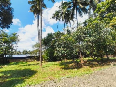 Land photo 2
