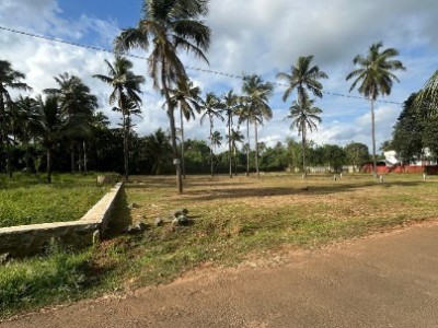 Land photo 2
