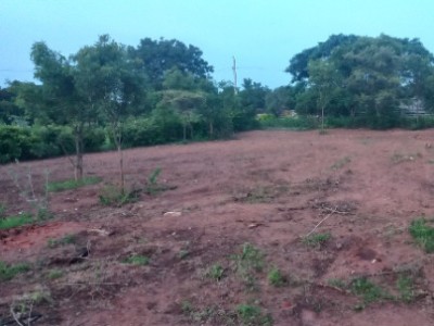 Land photo 2