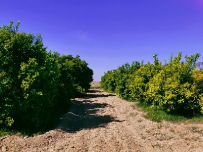 Land photo 2