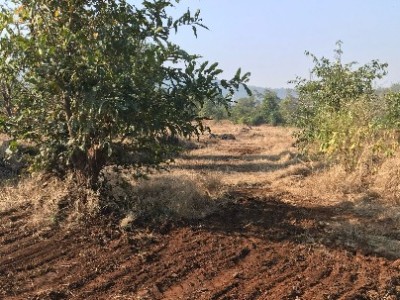 Land photo 2