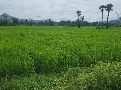 Land photo 2