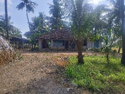 Land photo 2