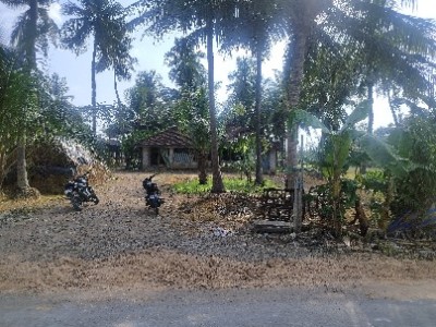 Land photo 3