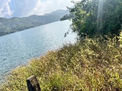 Land photo 2