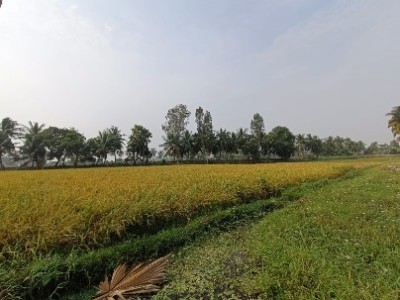 Land photo 3