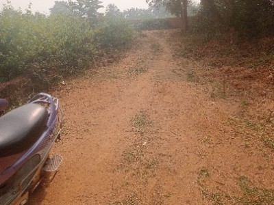 Land photo 2