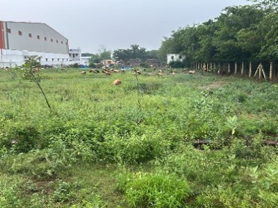 Land photo 2