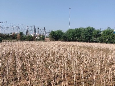 Land photo 3