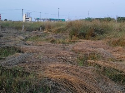 Land photo 2