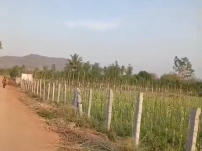 Land photo 2