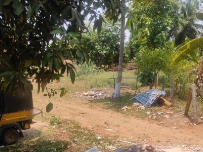 Land photo 2