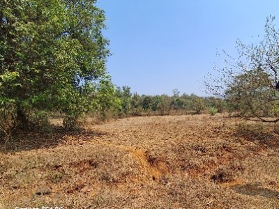 Land photo 2