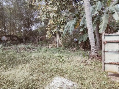 Land photo 2