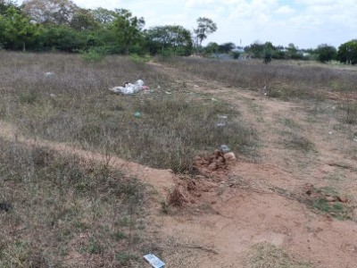 Land photo 2