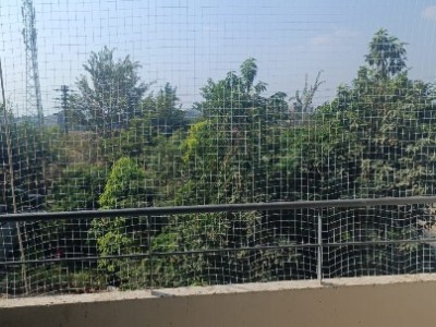 2 BHK Flat photo 2