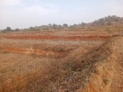 Flat photo 2